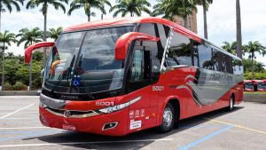 Ônibus vermelho da pássaro marron