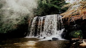 O que fazer em Taubaté: (x) lugares que você precisa conhecer - Pássaro Marron